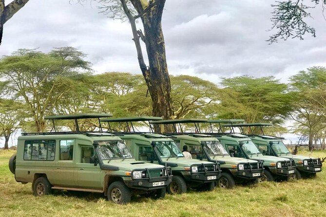 4 Days Tanzania Safari Tour - What the guides add to the trip