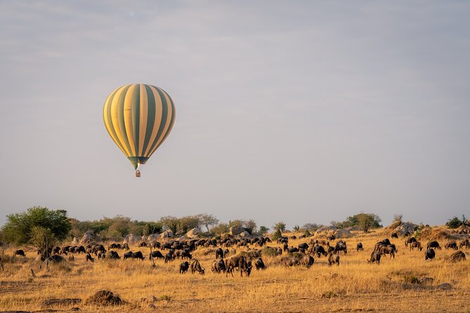 4 Days Tarangire, Serengeti and Ngorongoro Mid-Range Group Safari - Guides are the heart of the experience