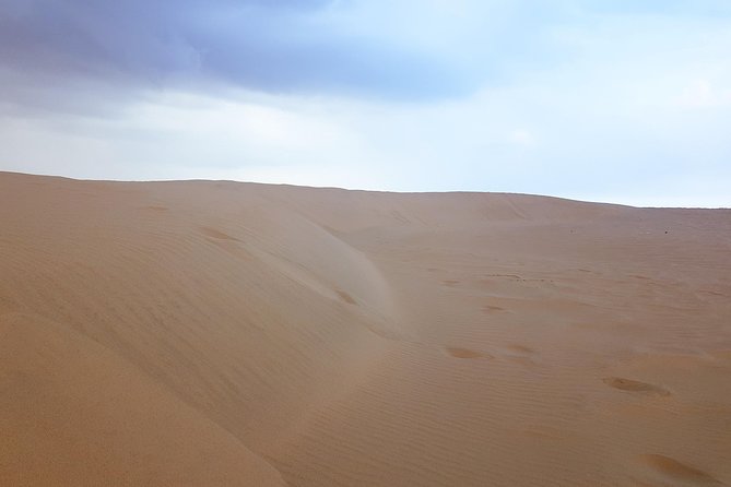 4 Days Tour In Doha | City Tour | North Tour | Desert Safari | West Tour - Day three: Al Khor, mangroves, and Al Zubara