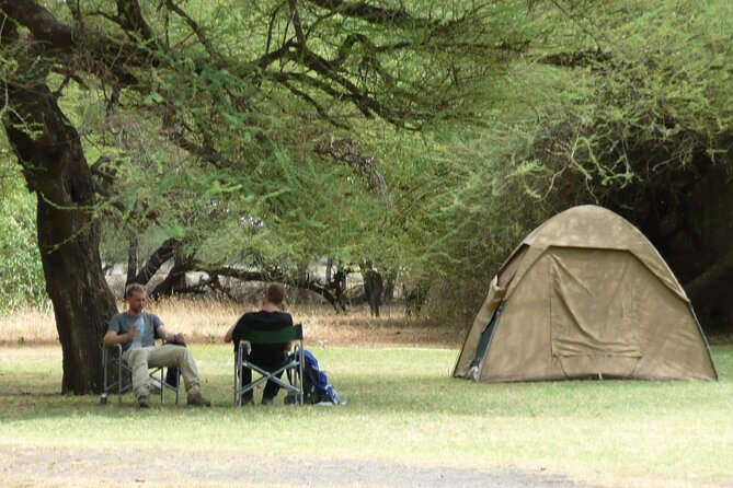 4 Days Wildlife Safari and Cultural Experience in Tanzania - Day 1: Tarangire’s elephants and baobab country