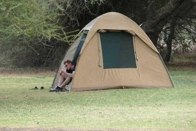4 Days Wildlife Safari and Cultural Experience in Tanzania - Day 2: Lake Manyara’s tree-climbing lions and birdlife
