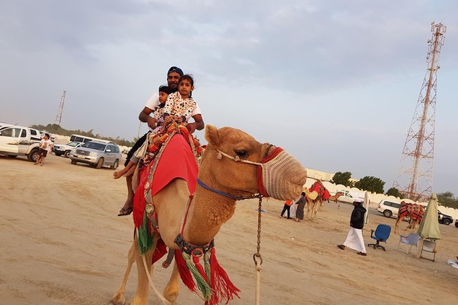 4 Hour Desert Safari, Camel Ride & Inland Sea Beach - Timing, comfort, and what to pack