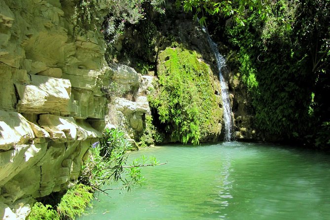 4 hour Quad & Buggy Safari Akamas(lara Bay) & Adonis Falls - Why this Akamas ride is different from a standard sightseeing trip