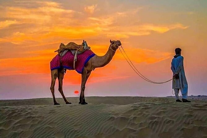 4 Hours Desert Safari - Pickup from Dubai, Sharjah, or Ajman