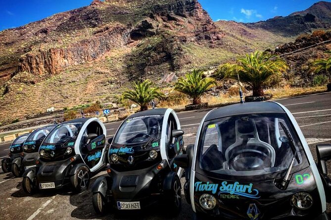 4 Hours Eco Safari Tour with Electric Car in Tenerife - Key things to know before booking