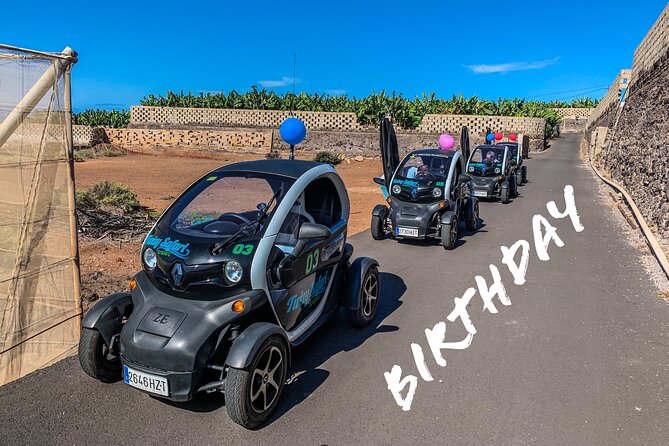 4 Hours Eco Safari Tour with Electric Car in Tenerife - Chio for local food and traditional production