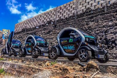 4 Hours Eco Safari Tour with Electric Car in Tenerife
