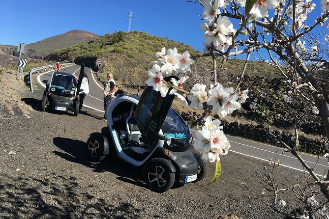 4 Hours Eco Safari Tour with Electric Car in Tenerife - Dani’s guiding style and the amount of information