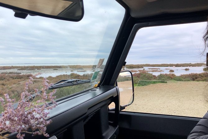 4x4 Camargue Safari 4h - Departure from Arles - Why the Camargue works best from a 4x4