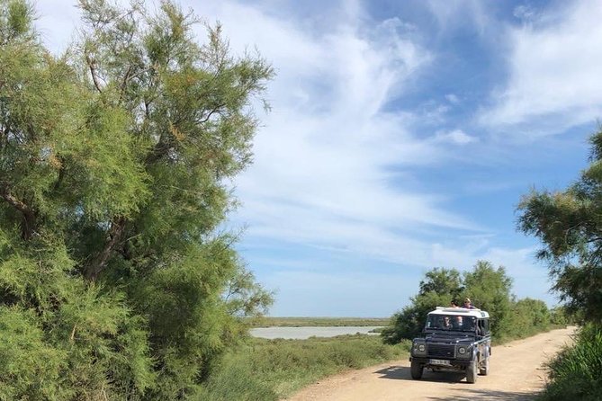 4x4 Camargue Safari 4h - Departure from Arles - Riding the back roads of the Camargue