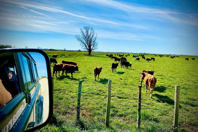 4x4 Camargue Safari 4h - Departure from Arles - Comfort, seating, and practical limits