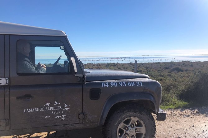 4x4 Camargue Safari 4h - Private Tour - Departure from Arles - The tradeoff between structure and flexibility