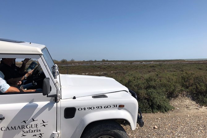 4x4 Camargue Safari 4h - Private Tour - Departure from Arles - Seeing Camargue fauna and flora from the 4x4