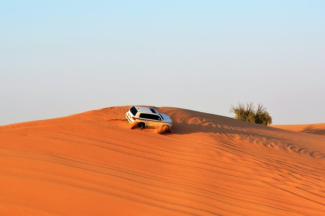 4x4 Desert Safari Abu Dhabi with BBQ Dinner - BBQ dinner under the stars