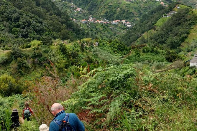 4x4 Safari Private Jeep, Full Day, Customizable Santana or Porto Moniz or other - Is $356.90 good value for up to five people?
