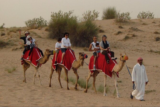 4x4 Self-Drive Quad Bike Safari with Camel Riding - How the camel riding fits into the experience