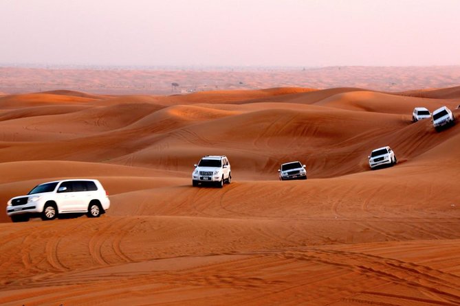 4x4 Self-Drive Quad Bike Safari with Camel Riding - Who will enjoy this morning most