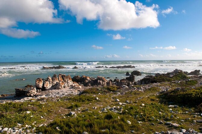 5 Day Cape to Addo Safari - Garden Route Small Group Tour - Key things to know before booking