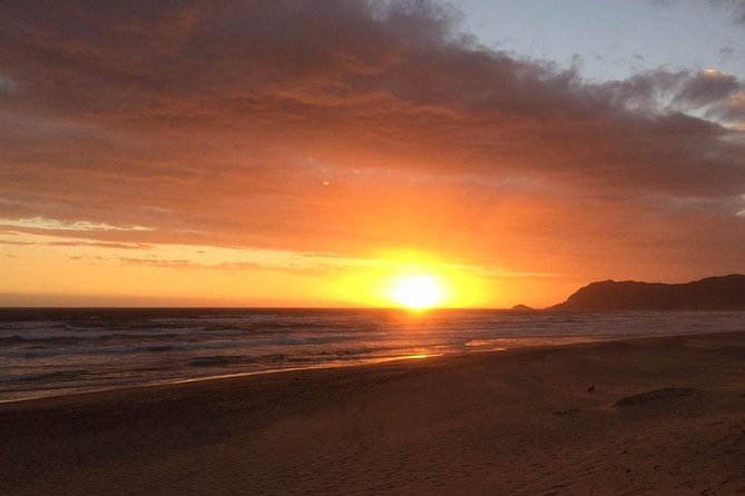 5 Day Cape to Addo Safari - Garden Route Small Group Tour - Day 4: Jeffreys Bay surf culture and Addo elephants