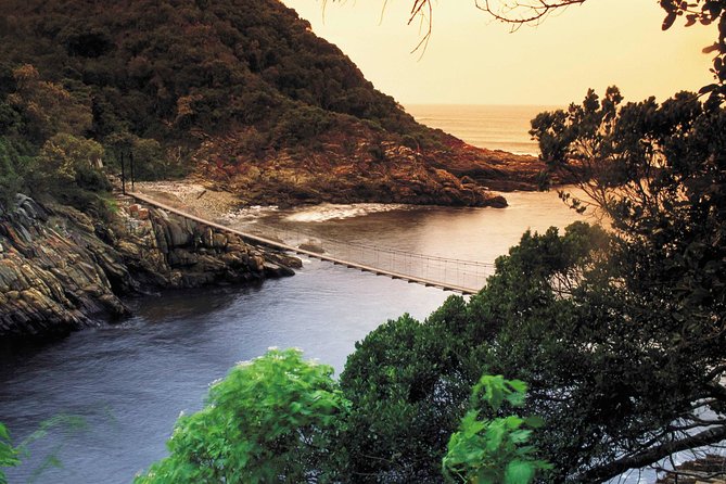 5 Day Cape to Addo Safari - Garden Route Small Group Tour - Day 5: Oudtshoorn and the Cango Caves