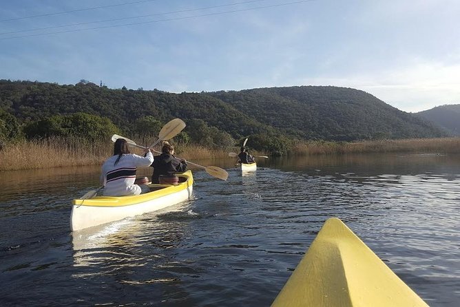 5 Day Cape to Addo Safari - Garden Route Small Group Tour - The guide and group experience