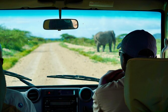 5-Day Mid-Range Safari in Tanzania - Day 5: Airport transfer and the option to add the coast