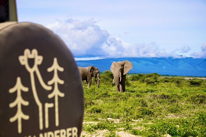 5-Day Mid-Range Safari in Tanzania - Guides, communication and the private-tour advantage