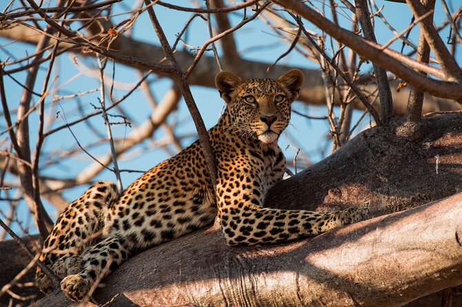 5-Day Mid-Range Safari in Tanzania - Day 1: Arriving in Arusha and getting your bearings