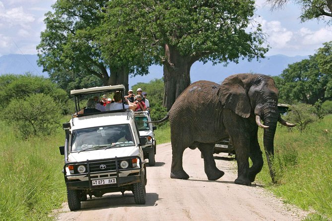 5-Day Mikumi & Ruaha Tanzania Wildlife Lodge Safari - What the $1,700 price includes
