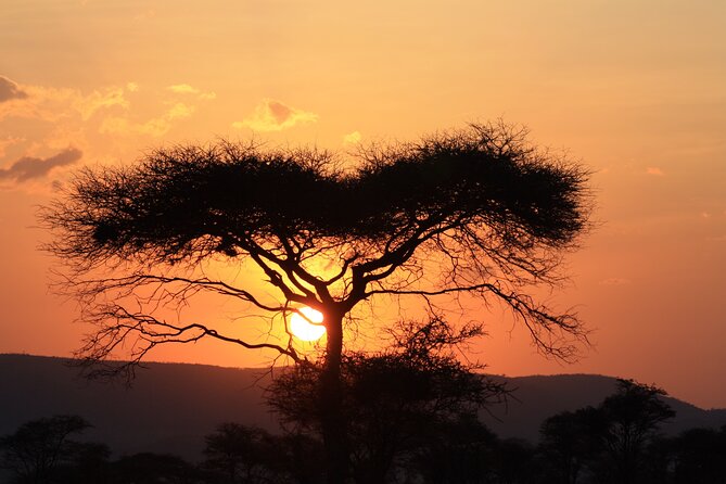 5-Day private Camping Safari Tour in Tanzania - Is $2,300 per person good value?