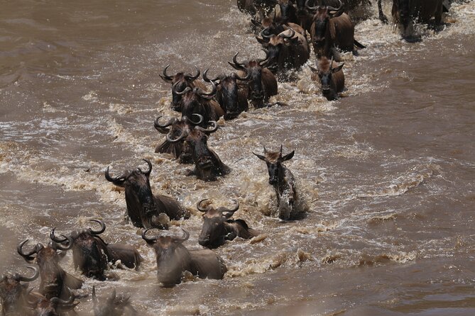5-Day Private Northern Tanzania Safari from Arusha - Who should book this safari?