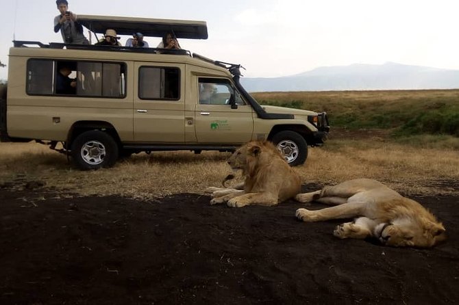 5 Day Silver Serengeti & Ngorongoro Crater & Tarangire Safari - Day 1 at The Outpost Lodge in Arusha