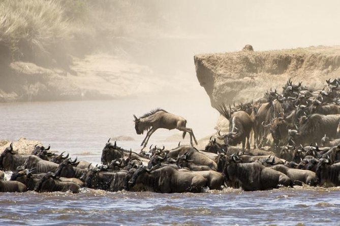 5 Days 4 Nights Tarangire, Serengeti , Ngorongoro & Manyara Wildlife Safari - Day 1: Tarangire and the elephant country