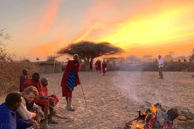 5- Days Best Mid-range Safari and Maasai Village experience - Day 3: A full day in the Serengeti
