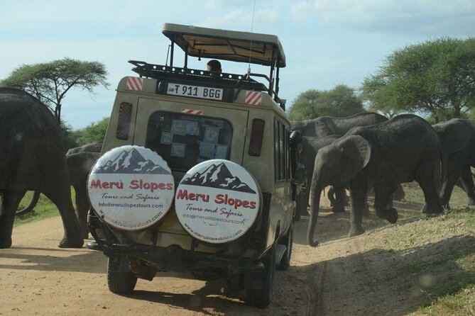 5 Days Best of Northern Circuit Budget Safari in Tanzania - Day 1: Elephants and baobabs in Tarangire