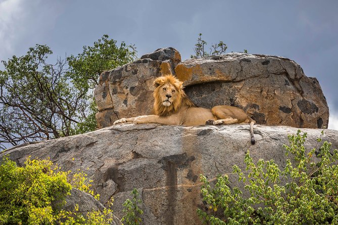 5 Days Budget Private Safari, Tanzania - Why this five-day route works