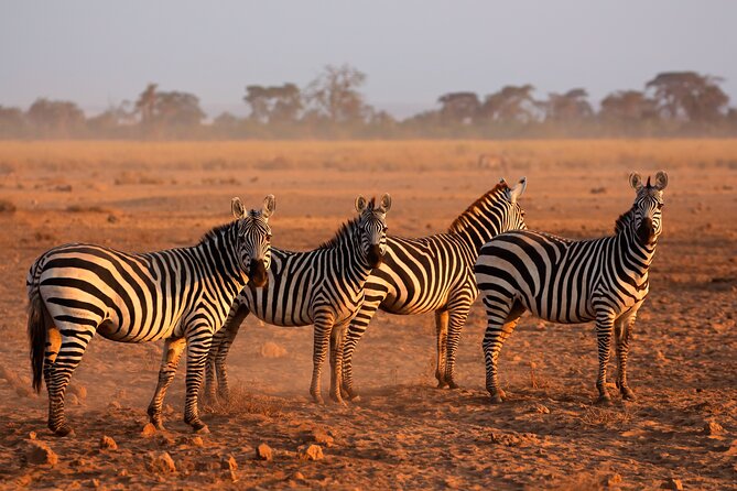 5 Days Mid-Range Group Safari with Accommodation - Why this five-day route works