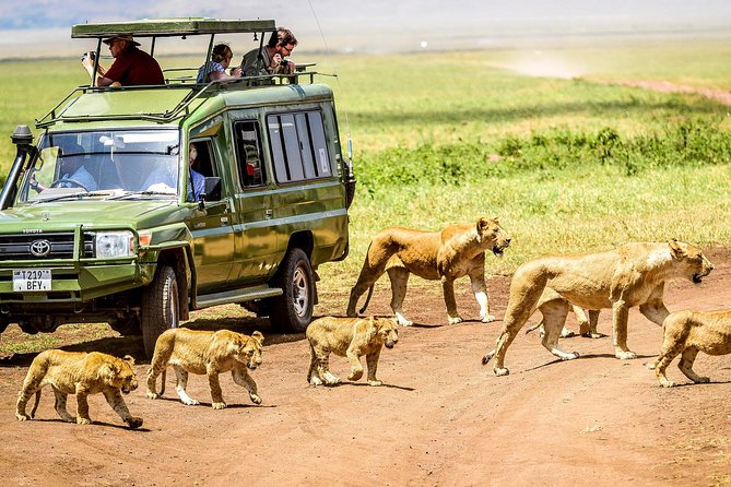 5 Days Private Safari- Tarangire, Serengeti, Ngorongoro & Manyara - Day 1: Tarangire’s baobabs and elephant country