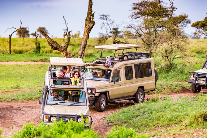 5 Days Private Safari Tour & Maasai village Visit Tanzania - Key points to know before booking