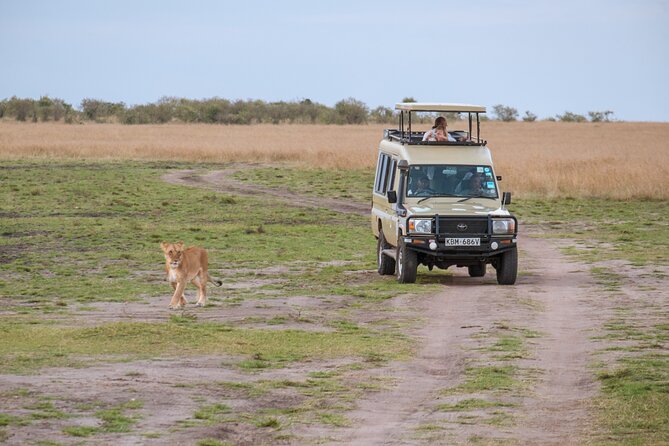 5 Days Private Safari Tour & Maasai village Visit Tanzania - Day 1: Lake Manyara’s forest, lake, and tree-climbing lions
