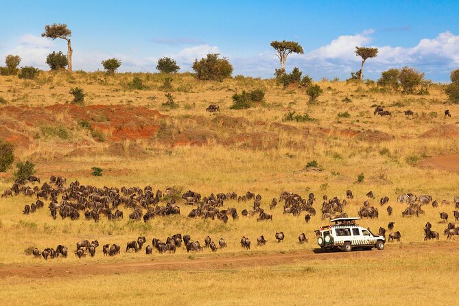 5 Days Private Safari Tour & Maasai village Visit Tanzania - The village visit needs clearer wording