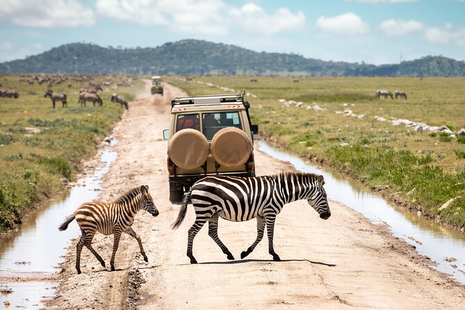 5 Days Private Safari Tour & Maasai village Visit Tanzania - Private touring and guide quality