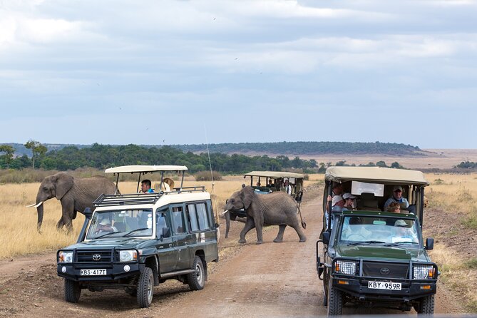 5 Days Private Safari Tour & Maasai village Visit Tanzania - Day 2: Tarangire and its elephant country