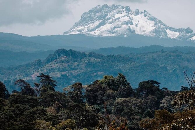5 days safari, hiking & culture (Serengeti & kilimanjaro) - Day two: crater views, Maasai culture, and the road to Serengeti