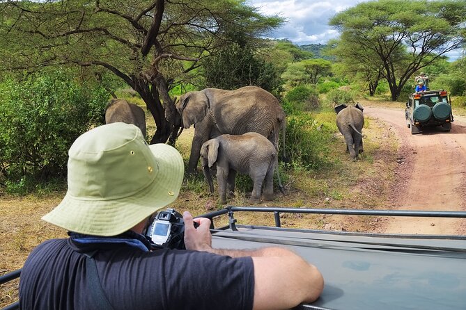 5 days safari, hiking & culture (Serengeti & kilimanjaro) - The guide can shape the whole experience