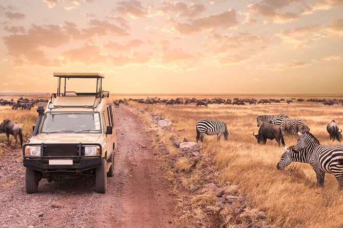 5 days safari, hiking & culture (Serengeti & kilimanjaro) - Day one: elephants and open country in Tarangire