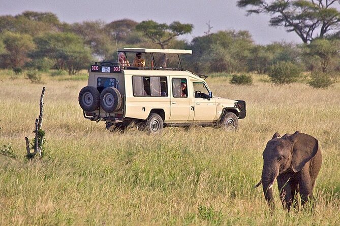 5 Days Safari in Tanzania | Camping and Lodge Safaris - Day 1: Tarangire’s elephants and baobab country