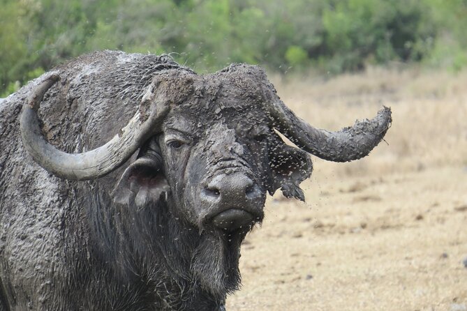 5 Days Safari Northern Circuit of Tanzania - Why this northern Tanzania route works