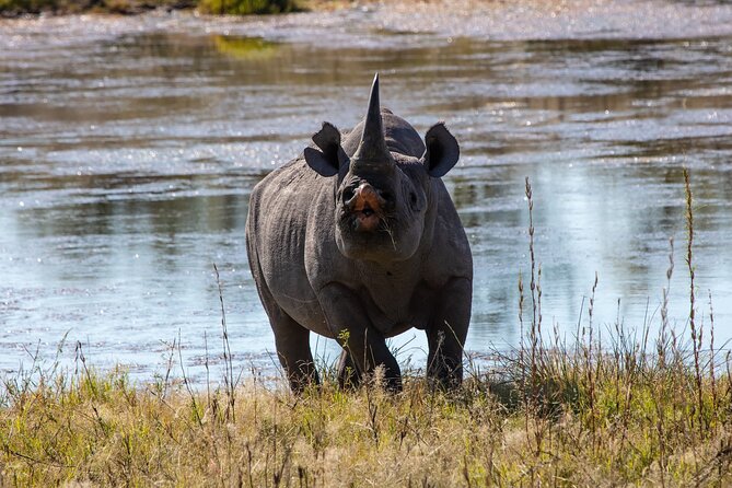 5 Days Safari Northern Circuit of Tanzania - What the $2,097 price gets you