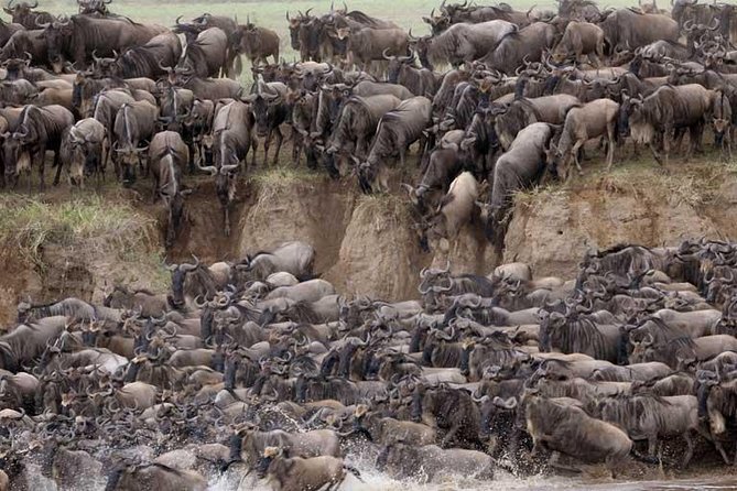 5 Days Serengeti Camping Safari - Camping, food, and the group setup